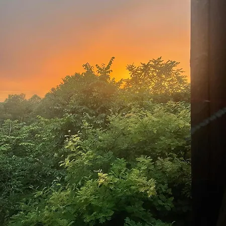 Perfect Location By The Forest Edge In