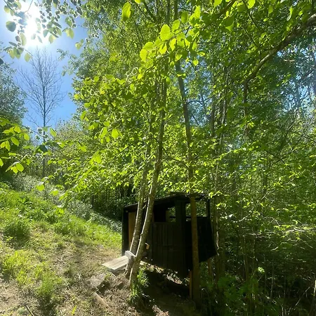 Perfect Location By The Forest Edge In