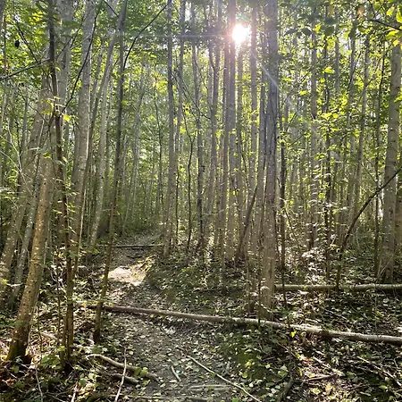 Perfect Location By The Forest Edge In Дом отдыха Осло