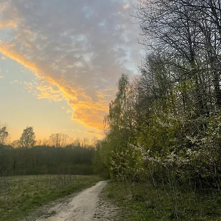 Perfect Location By The Forest Edge In Dom wakacyjny